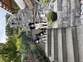Betriebsferien